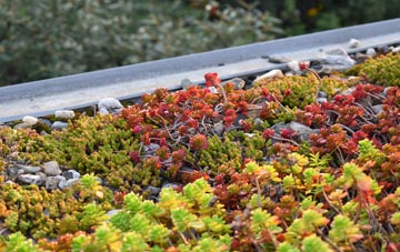 the cost of Ryelands green roof installation