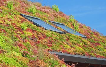 Ryelands living roof systems