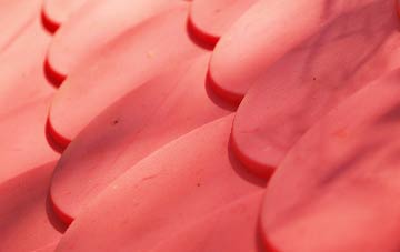 Ryelands plastic roof costs